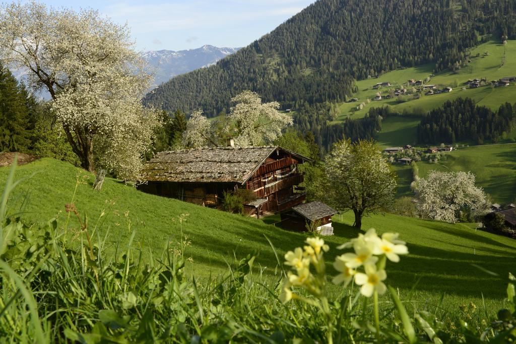 Landhaus アルプバッハ エクステリア 写真